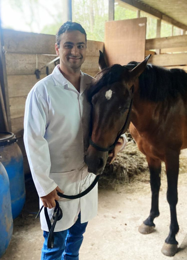 Cavalo sendo atendido na clínica